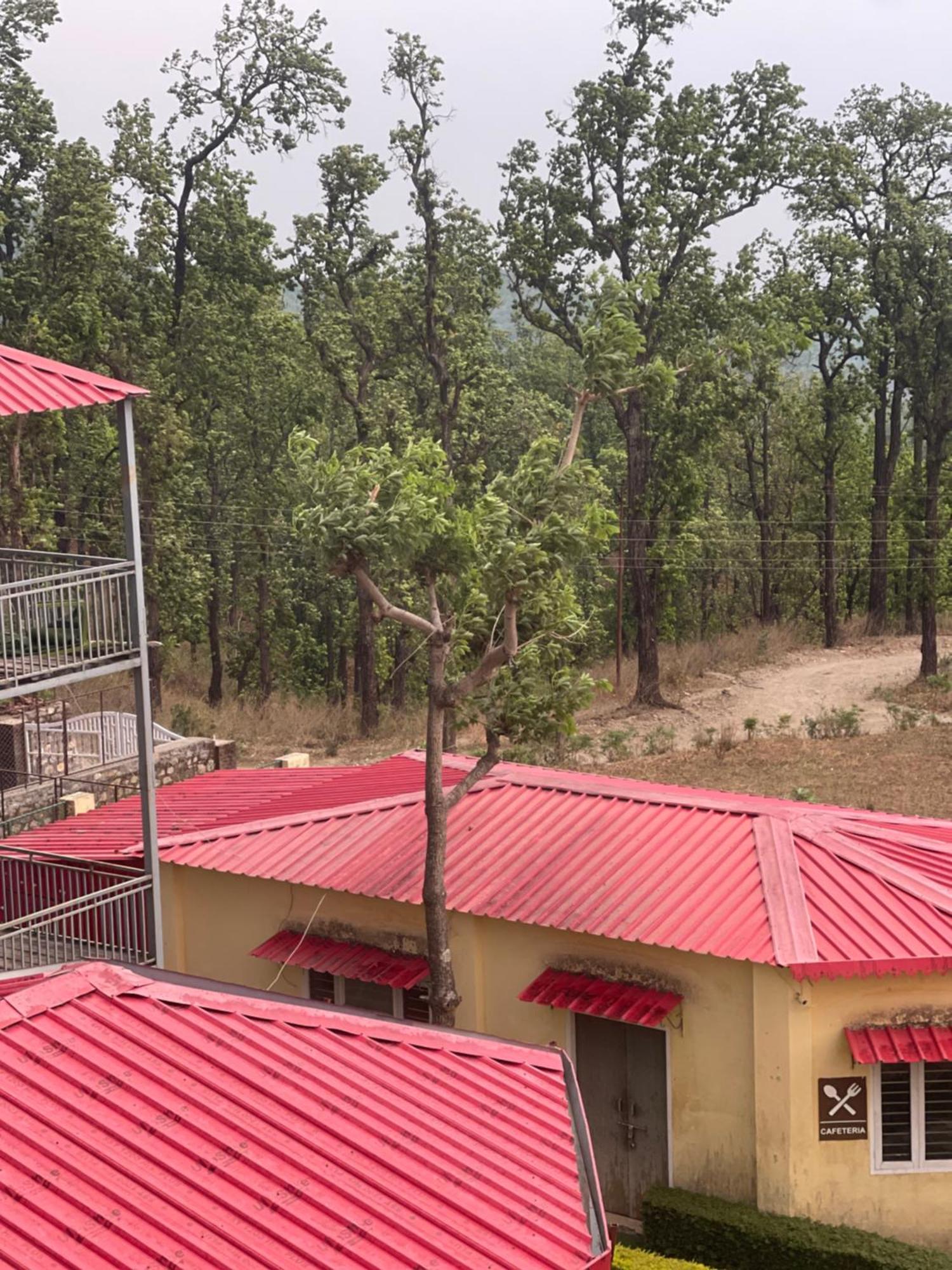 Hidden Nature Resort Dehradun Ngoại thất bức ảnh